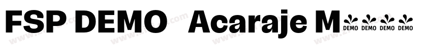 FSP DEMO   Acaraje M字体转换